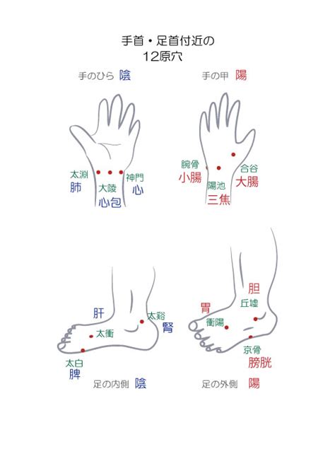 源穴|原穴